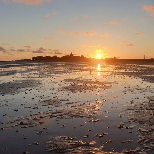 2025Neuwerk_Sonnenunte.2e16d0ba.fill-800x500.format-jpeg