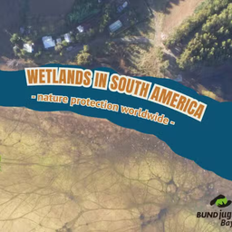 2026-03-01-wetlandssouthamerica-1-860x568.jpg