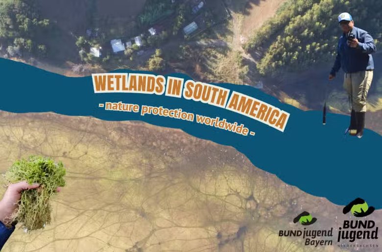 2026-03-01-wetlandssouthamerica-1-860x568.jpg