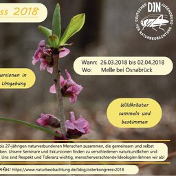 DJN Osterkongress