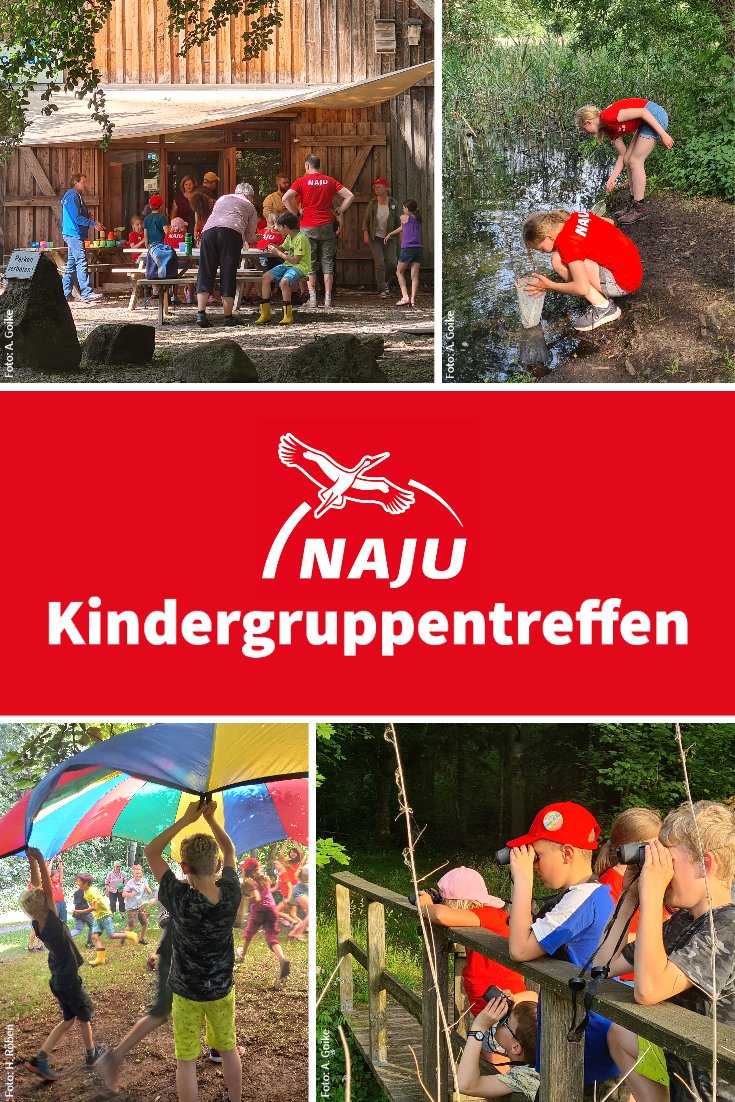 Collage Kindergruppentreffen