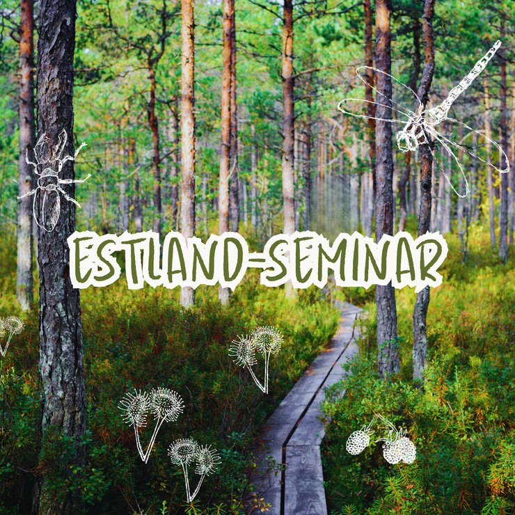 Estland-Seminar3