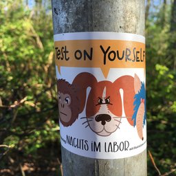 Foto_Sticker_Nachts im Labor