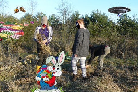 Bild für Frühlingscamp im Waldgarten