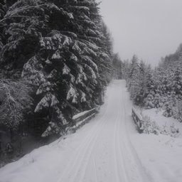 Harz Winter