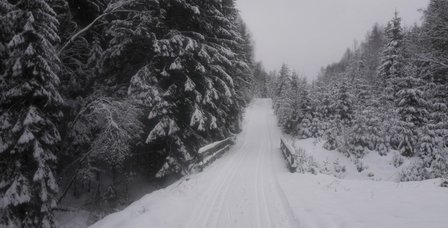 Harz Winter