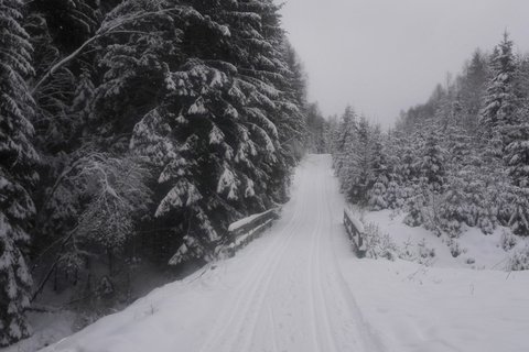 Harz Winter