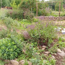 IMG_20240523_172118_HDR