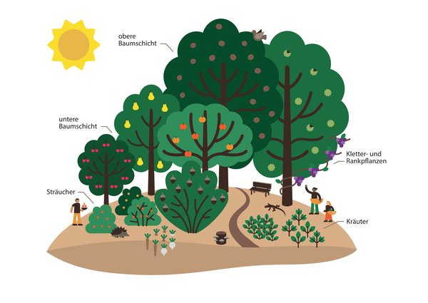 Infografik_Waldgartenschichten_2024_A3-1