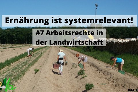 Ernährung ist systemrelevant! #7.png