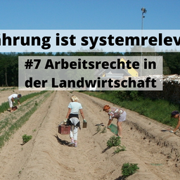 Ernährung ist systemrelevant! #7.png