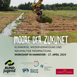Moore der Zukunft