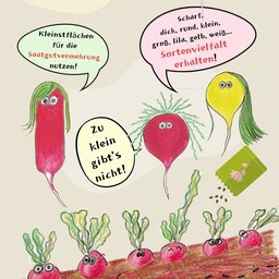 Radieschen-Vielfalt!!