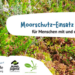 moorschutz-einsatz-bei-lueneburg-2025