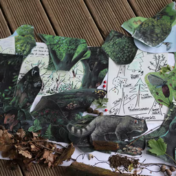 Screenshot 2025-11-21 at 08-35-11 wildkatzen-puzzle.jpg.avif (AVIF-Grafik 1244 × 821 Pixel)