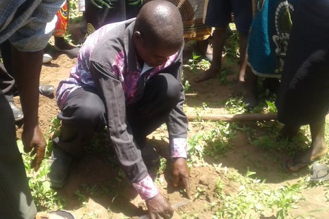Selbstbestimmt klimaresiliente Kommunen in Malawi