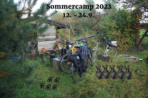 Sommercamp_2023-2048x1365