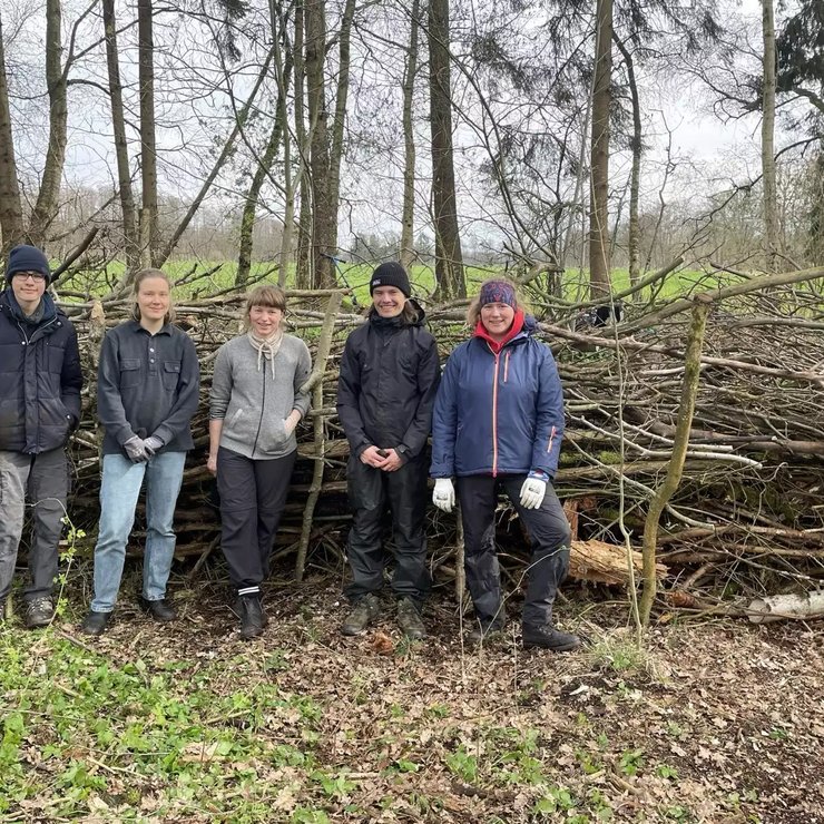 Totholz-Bild-fuer-Gertrud2