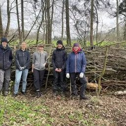 Totholz-Bild-fuer-Gertrud2