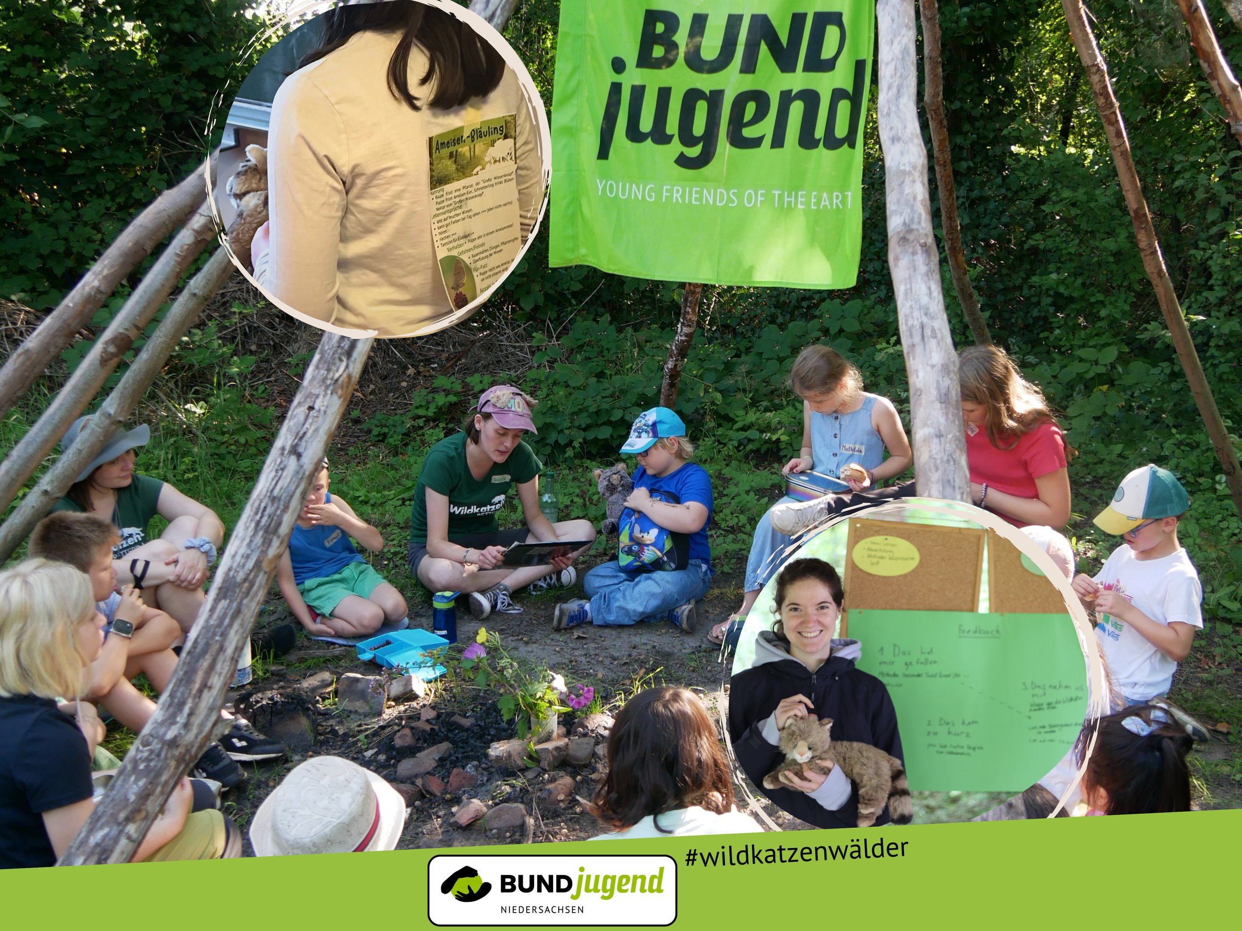 WEBSITE BILDOption 1