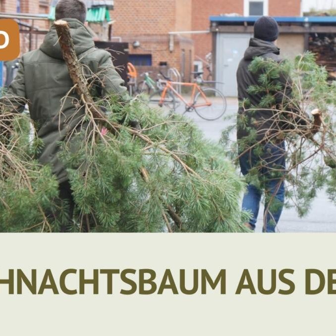 aktionsstand-weihnachtsbaum-moor-2025-690x339@2x