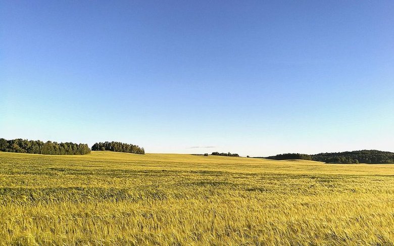 field-2518655_1280.2e16d0ba.fill-800x500.format-jpeg