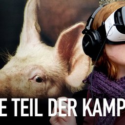 ianimal coverfoto