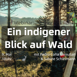 indigenerWald.png
