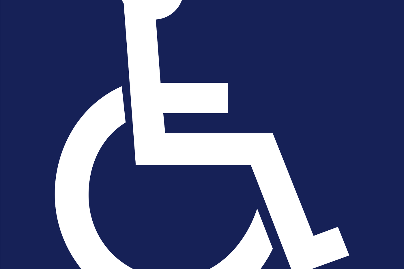 ingagestroliac-handicap-759184_1920