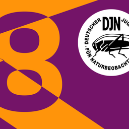 kalender-icon-8.png