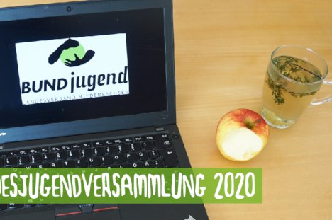 landesjugendversammlung2020.jpg