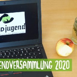 landesjugendversammlung2020.jpg