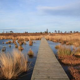Hochmoor Beispiel