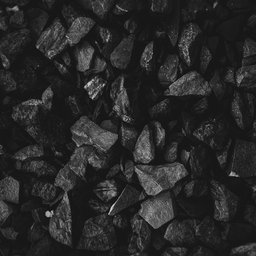 Coal