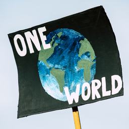 opne world