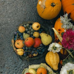 pexels-didsss-29142304