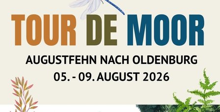 Moorlandschaft, Libelle, Peronen unterwegs auf dem Rad. Text: Tour de Moor, Augustfehn nach Oldenburg, 5.-9. August 2026. BUNDJugend Niedersachsen