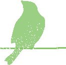 vögel.jpg