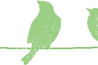 vögel.jpg