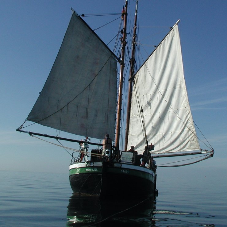 website wattenmeer