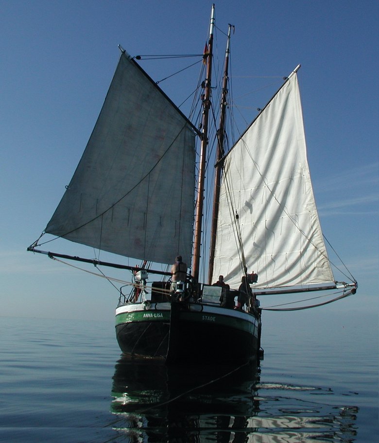 website wattenmeer