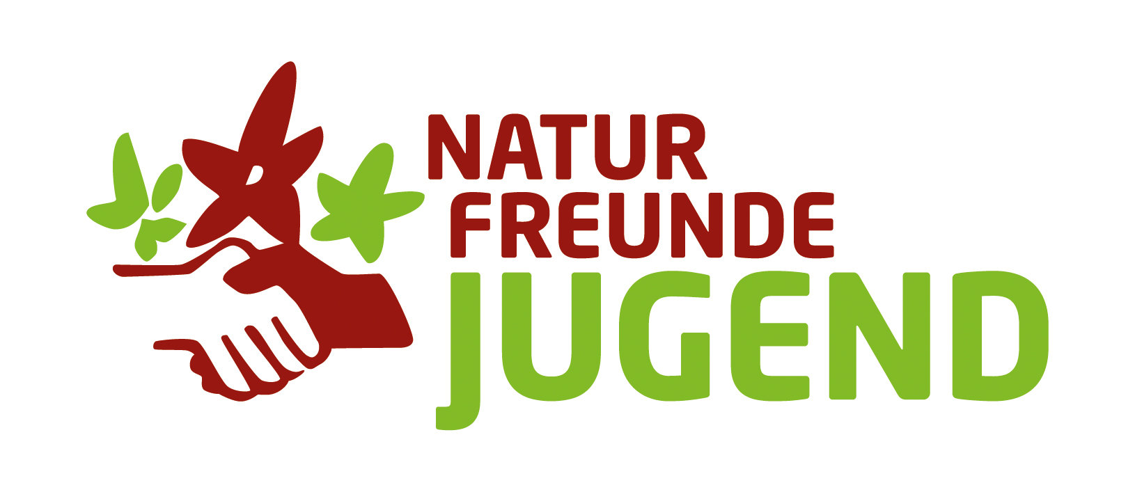 Logo NFJ